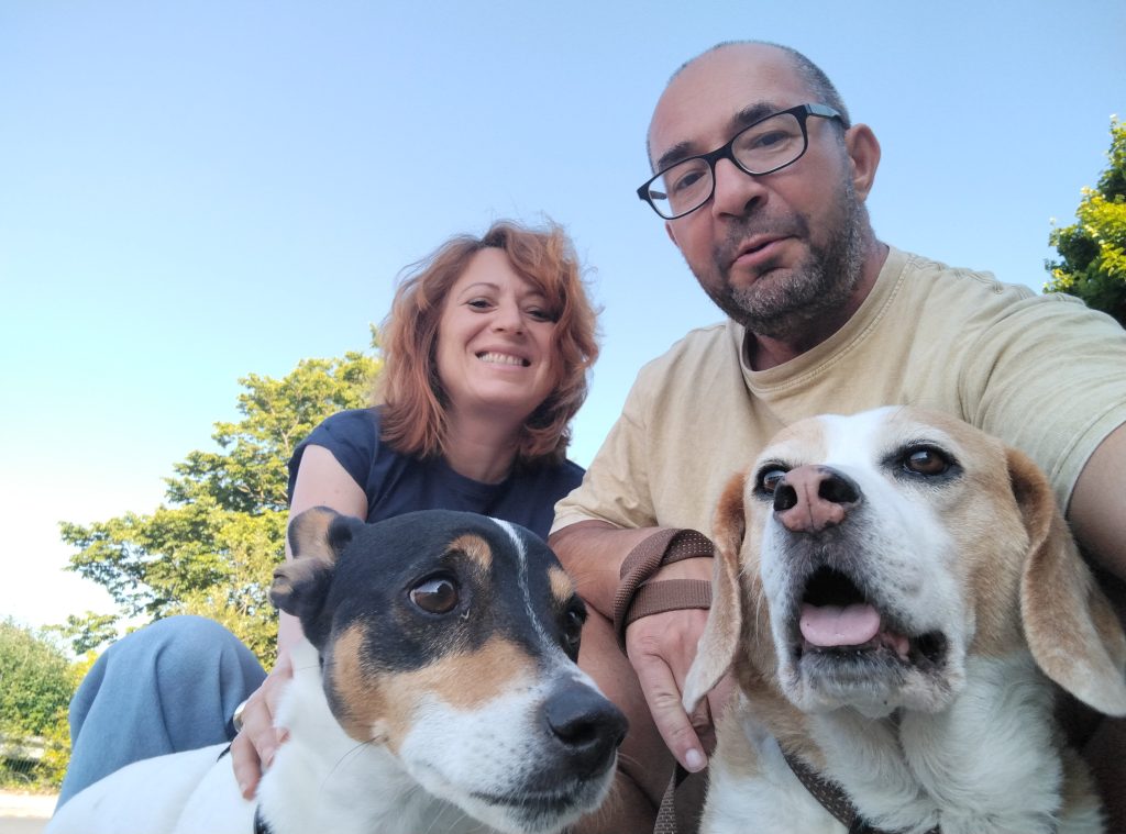 Mira, Marin, Charlie y Phoebe | alertamascotas.es