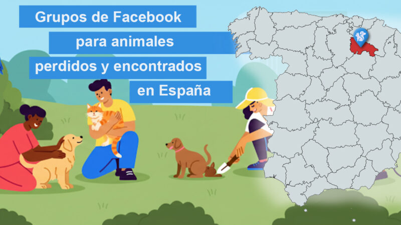 Grupos de Facebook para animales perdidos y encontrados en España