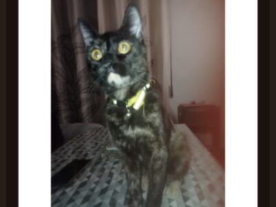 LUNA