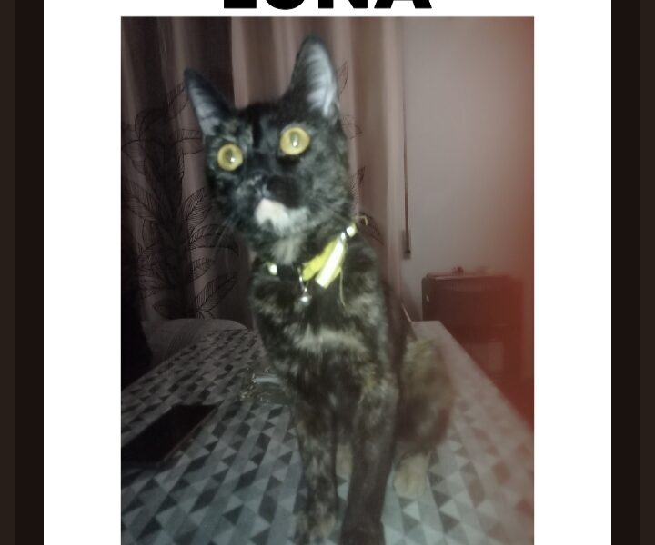 LUNA