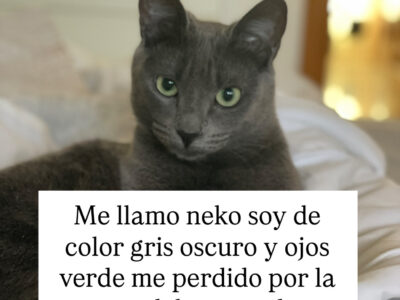 Neko