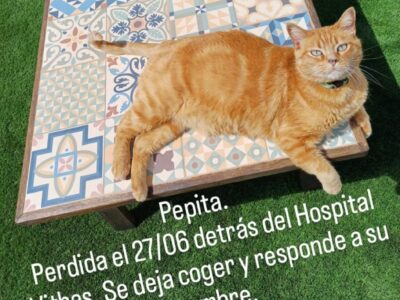 Pepita